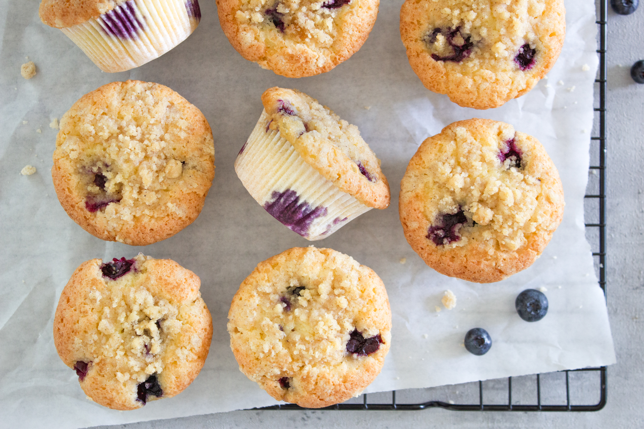 Mehrere Blueberry Muffins auf einem Backgitter