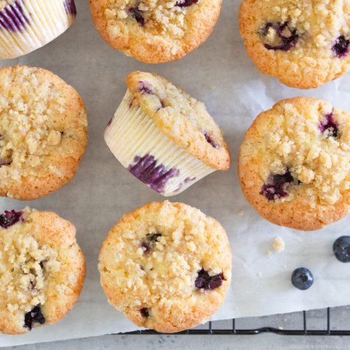 Mehrere Blueberry Muffins auf einem Backgitter